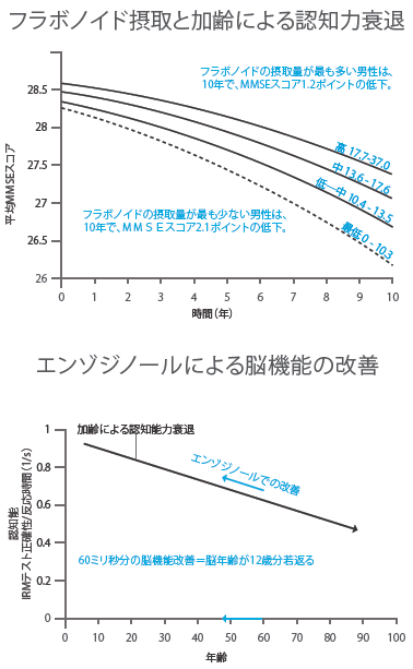 エンゾジノール フラボノイド摂取と加齢による認知力の衰退グラフ 及び 脳機能の改善グラフ