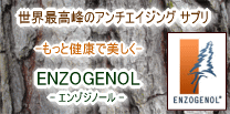 松ポリフェノール / エンゾジノール