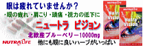 �ᐸ��J�Ɂ@�j���[�g���r�W����